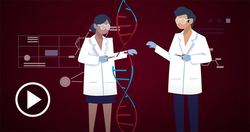 A Brief History of CRISPR - Part One